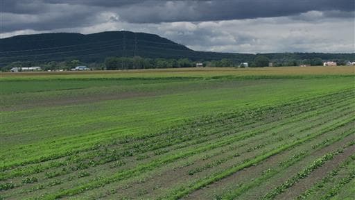 Saison 1 - Épisode 12 : Le Pérou à Rimouski