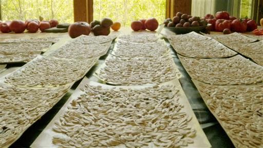 Saison 1 - Épisode 5 : Semences ancestrales, un précieux héritage